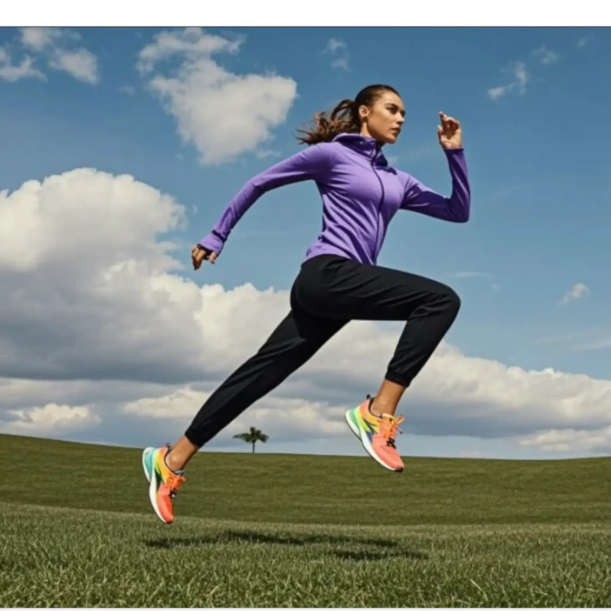 IMG_0012 (1) IMG 0012 1