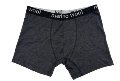 Merino wool briefs mens soft breathable odor resistant underwear